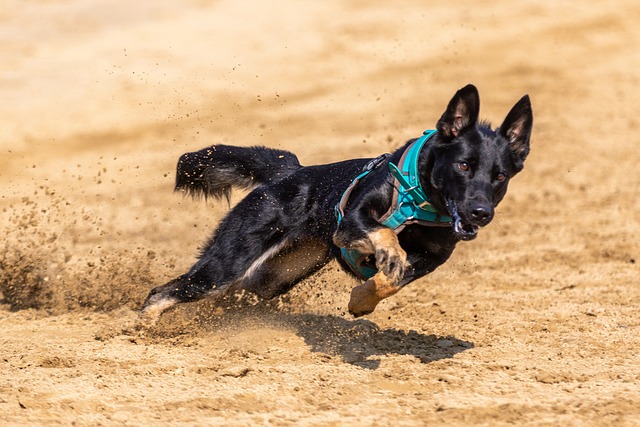 调后重新学