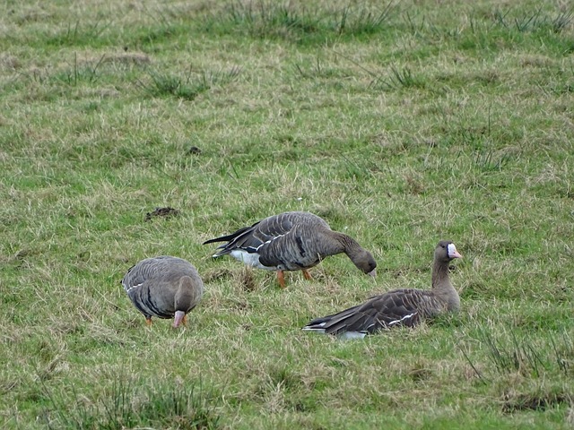 个人能力在 个人能力在
