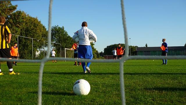 理的财务预 理的财务预