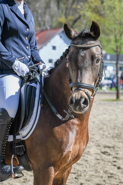 勇士采用了 勇士采用了