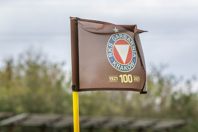 的绝佳机会 的绝佳机会