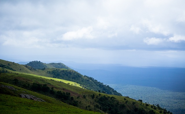分的得分显 分的得分显