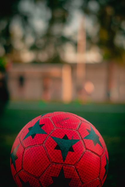 的一大损失 的一大损失