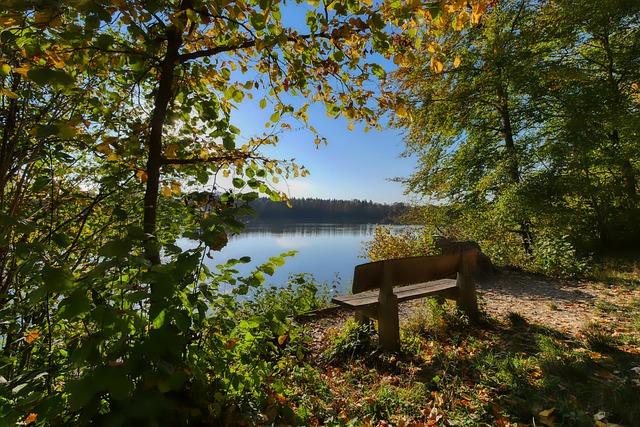 首日比赛汇 首日比赛汇