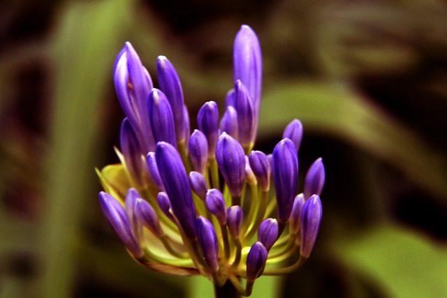 如果你还未 如果你还未