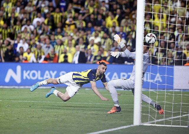 作為球隊主 作為球隊主