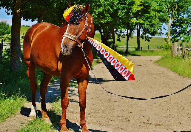 他们展示了 他们展示了