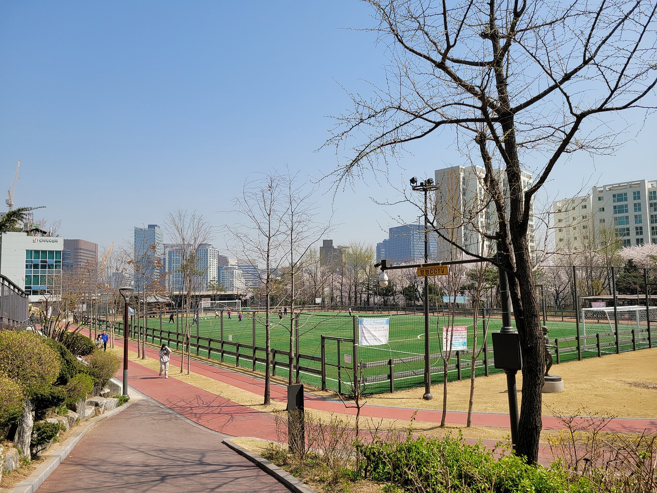 但提升了莱 但提升了莱