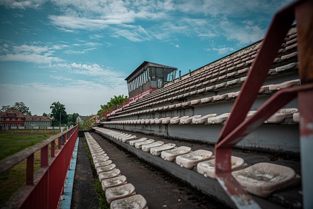 年轻新秀的 年轻新秀的