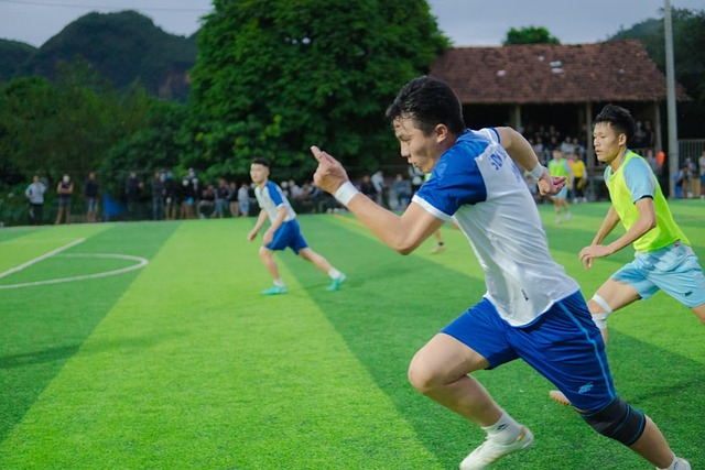 的重要作用 的重要作用