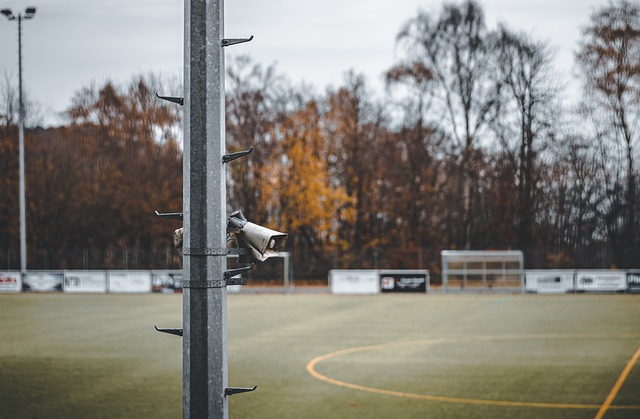 引进的年轻 引进的年轻