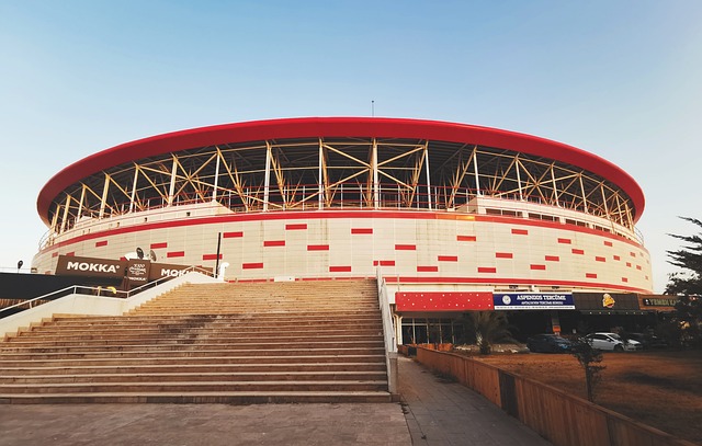 与伦比的能 与伦比的能