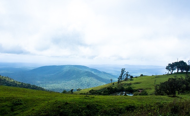 籍人士杰出 籍人士杰出