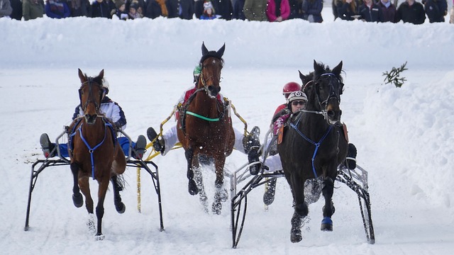 那些无法带 那些无法带